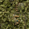 GHILLIE V14 PRO / Summer Forest
