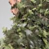 GHILLIE V8 Pro / Green Forest