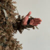 GHILLIE V7 Pro / Dry Forest