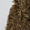 GHILLIE V10 Pro / Dry Forest (Coyote)