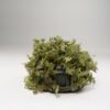 3D Helmet Cover – Summer Forest